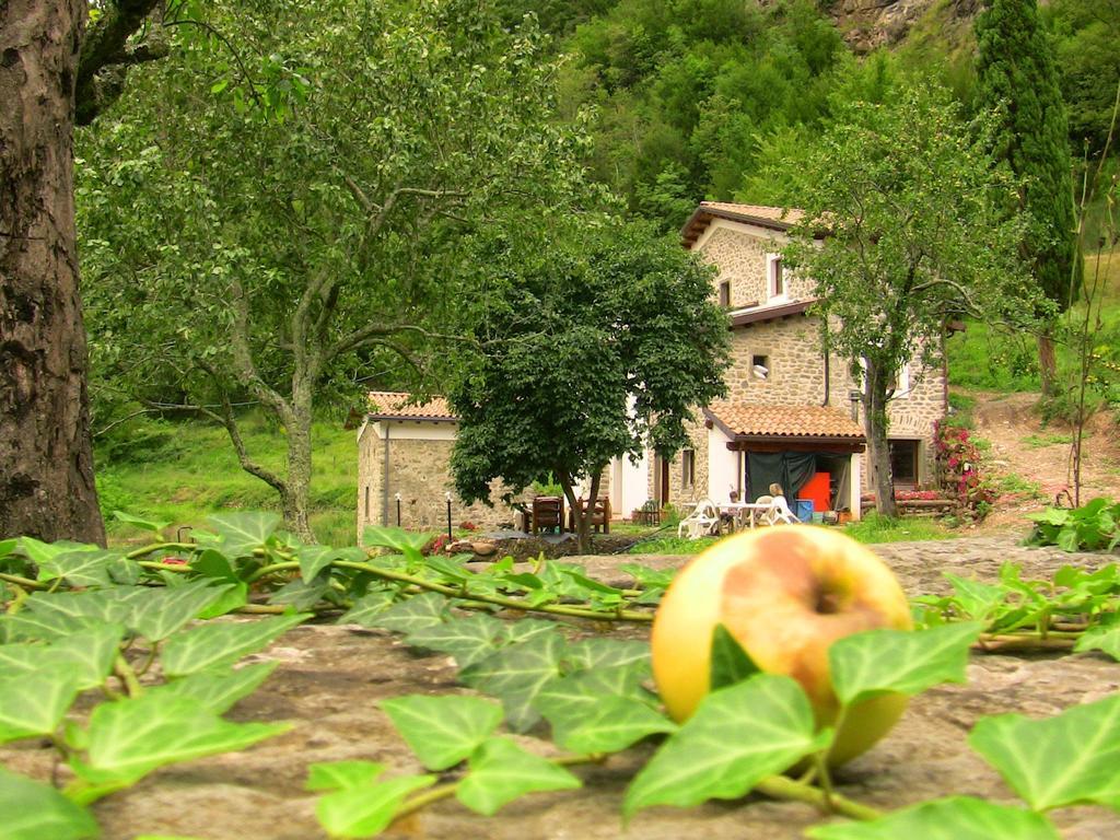 Agriturismo Di La Dall'Acqua Fivizzano Εξωτερικό φωτογραφία