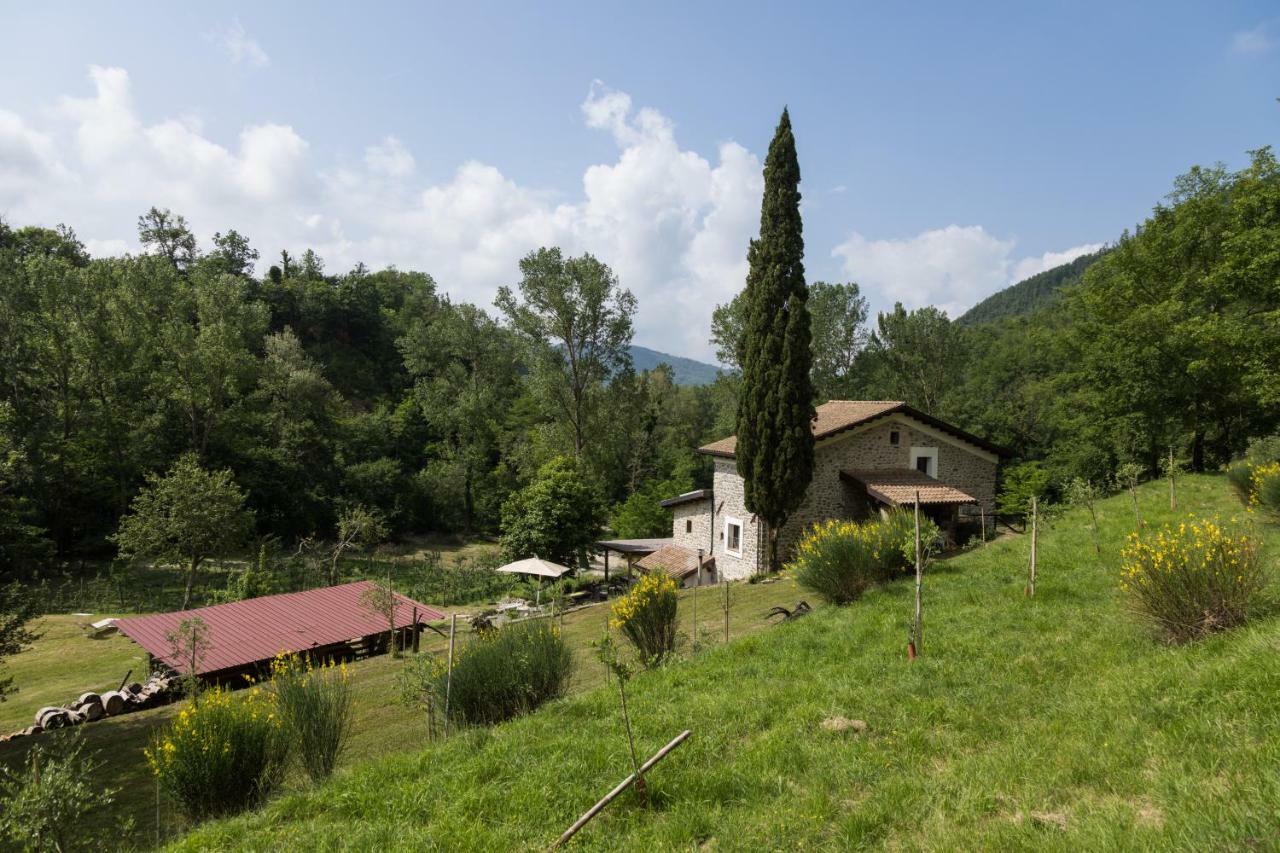 Agriturismo Di La Dall'Acqua Fivizzano Εξωτερικό φωτογραφία